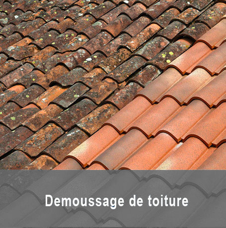 Demoussage et nettoyage de toiture à Viarmes dans le Val d'Oise 95